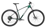 Pells Razzer 1 Wald Grün XL | Vielseitiges Hochleistungs-Mountainbike mit...