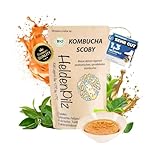 HeldenPilz® Bio Kombucha Teepilz – Vitaler, Wachstumsstarker Scoby mit...