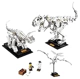 LEGO Ideas 21320 Dinosaurier-Fossilien Konstruktionsspielzeug, ab 16J , 910...