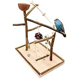 Vogelgaleria® Luxus Vogelspielplatz aus Natur Holz mit abnehmbarer Futterschale | Ideales...