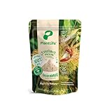 PlantLife BIO Maronimehl 650g – Glutenfreies, Veganes und Naturbelassenes Kastanienmehl...