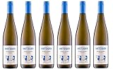 6 er Vorteilspaket Grauburgunder 2021 | Weingut Uli Metzger | Pfalz | 6 x 0,75 l