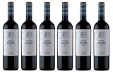 6x 0,75l - Andeluna - Altitud - Merlot - Tupungato - Mendoza - Argentinien - Rotwein...