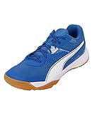 PUMA Unisex Solarflash II Hallenturnschuh, Royal White-Gum, 40.5 EU