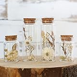 comforder Trockenblumen im Glas mit Korken 4er Set, getrocknete Blumen-Deko in eleganten,...