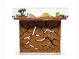 ANTHILLSHOP - Ameisenfarm T- Großer Natürlicher Sand (Acryl) 25x20x1,5cm - 【Ameisen...