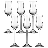 LEONARDO HOME Daily, robuste Schnaps Grappa geeignet, Gläser-Set mit 100-ml Nutzinhalt,...