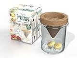 frubby® - Die nachhaltige Fruchtfliegen-Lebendfalle - geeignet für Taufliegen...