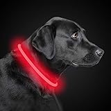 PetIsay LED Leuchthalsband Hund Halsband USB wiederaufladbar,...