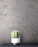 NEWROOM Tapete Grau Vliestapete Beton - Betonoptik Modern Anthrazit Zement Betonwand...