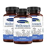 Ayursana Weihrauch Kapseln Boswellia Serrata, mit indischem Weihrauch (3 x 140...