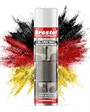 BRESTOL® ÖLFLECKENTFERNER SPRAY 400 ml Sprühdose - Ölfleckenentferner für...
