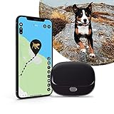 PAJ GPS PET Finder 4G - GPS Tracker für Hunde - LIVE Ortung - Sicherheit für Hunde -...