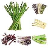 200 Pcs Wilder Spargel Samen - Spargelsamen - Wintergemüse Pflanzen Kaufen...