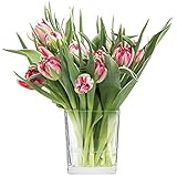 TREND FOR HOME Vase für Blumen Pflanzenglas Pflanzenterrarium Flaschengarten...