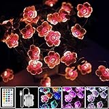 StarryEver LED Bunt Lichterkette Blumen, 4M 40er USB & Batterie LED Blume...