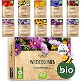 valeaf BIO Wilde Blumen Samen Set I 10 Sorten bienenfreundliche Blumensamen I...