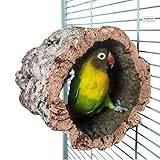 HappyBird ® | Korkhöhle Korktunnel für Wellensittiche mit Befestigung aus...