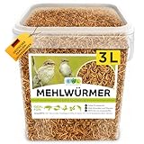 Mehlwürmer getrocknet 3L, Premium Insektensnack Vögel, Fische, Schildkröten, Nager,...