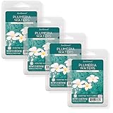 Scentsationals Duftwachs Duftschmelzen – Plumeria Waters – Wachswürfel Pack, Home...