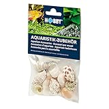 Hobby 40222 Sea Shells Set, M, M, 10 Stück