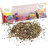 Schmetterlingstreff Blumenmischung: 100g Premium Schmetterling Blumensamen...