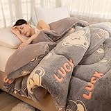 XHCTNN Bettdecke 180x200 Winter 200x220 Winterdecke Duvet Winter - Dicke BettwäSche FüR...