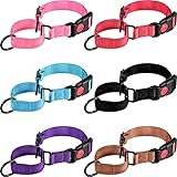 Martingale-Hundehalsband, mehrfarbig, Nylon, verstellbar, mit Schnalle, kleines...