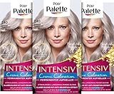 Palette Intensiv Creme Coloration 10-91/240 Pudriges Silberblond Stufe 3 (3 x...