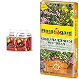 Floragard torffreie Obst- und Beerenerde 2 x 25L & Kübelpflanzenerde mediterran 40 L -...