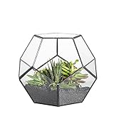 NCYP Handmade Blumentopf Transparentes fünfeckiges Dodekaeder Glas, Terrarium,...