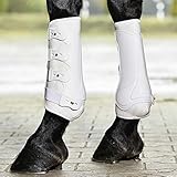 BUSSE Gamaschen DRESSAGE-PRO