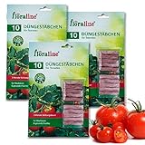 floraline® | 30x Tomaten - Düngestäbchen | pro Stäbchen: Tomatendünger für bis zu 3...