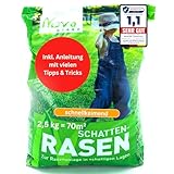 Rasensamen schnellkeimend Schattenrasen 2,5kg = 70m² Herbst - SEHR GUT getestet -...