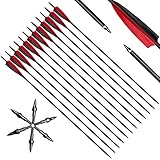 Deweey 12er Pack 31 Zoll Bogenpfeile, Carbon Pfeile für Bogenschießen mit 5' rot und...