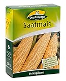 Quedlinburger 205906 Saatmais 500 g (Gründünger)