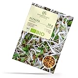 BIO Alfalfa Sprossen Samen 50g - Microgreens Saatgut ideal für die Anzucht von...