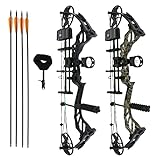 Drake Thorns 30-70 lbs- Compoundbogen Set mit Köcher, Pfeilauflage, Visier, Peep, Loop,...