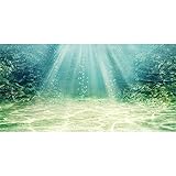 AWERT 61x30cm Aquarien Hintergründe Wasserpflanze Blase Unterwasser Ozeanboden Aquarien...