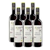 Biorebe Cabernet Sauvignon IGP Italien (6 x 0,75l)