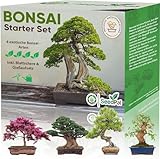 Easy Bonsai Starter Kit - Bonsai Anzuchtset 4 versch. Bonsai Samen - Züchte deinen...