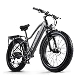 CEAYA Elektrofahrrad,E-Bike für Herren und Damen,26''E-Mountainbike,48V20AH E...