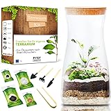 Flaschengarten Komplettset zum Schaffen EIN Ökosystem im Glas - Terrarium Starter Kit zum...