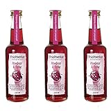 Fruchtwerker | Himbeer & Essig | Mit Saft aus echten Früchten | 3er Pack | 3x 250ml...