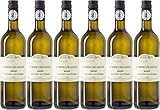 Schott Gewürztraminer 2022 Feinherb (6 x 0.75 l)