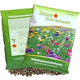 Wildblumenmischung - 100 g Samen für Wildblumenwiese - Saatgut für bunte...