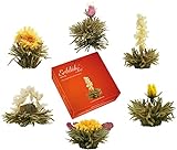 Creano Teeblumen Mix – „ErblühTee“ in edler Geschenkbox zum Probieren |...