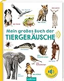 Mein großes Buch der Tiergeräusche: Mit 50 Sounds | Hochwertiges Soundbuch mit...