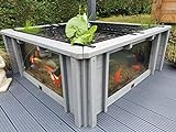 Clear View Garden Aquarium Lotus Gartenteich, quadratisch mit Fenstern