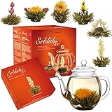 Creano Teeblumen Geschenkset - Erblühtee Frühjahrslese mit 500ml Glaskanne &...